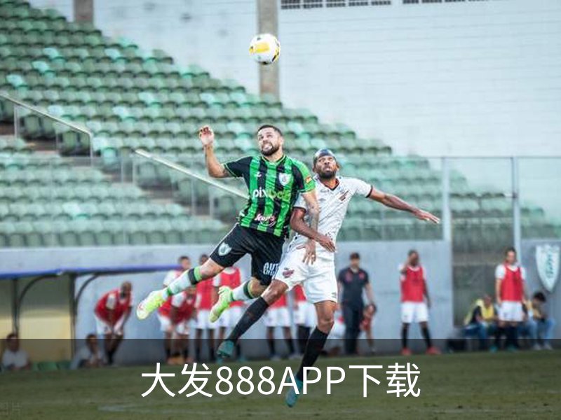 大发888APP下载品牌故事